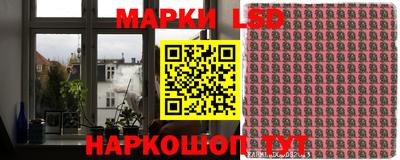 прущие грибы Ирбит