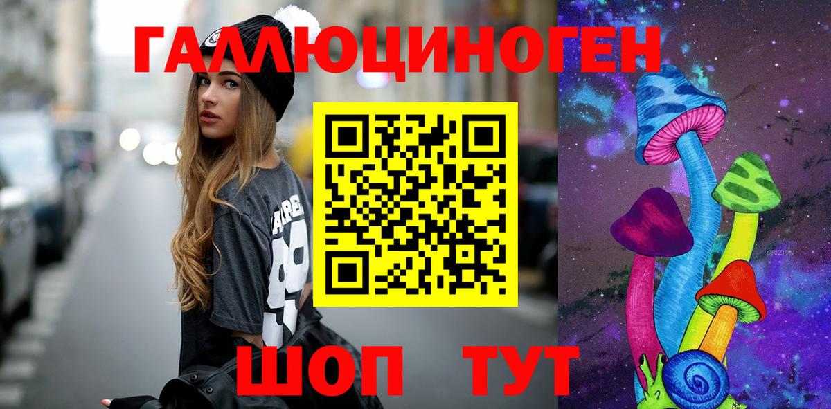 Псилоцибиновые грибы Psilocybe Люберцы