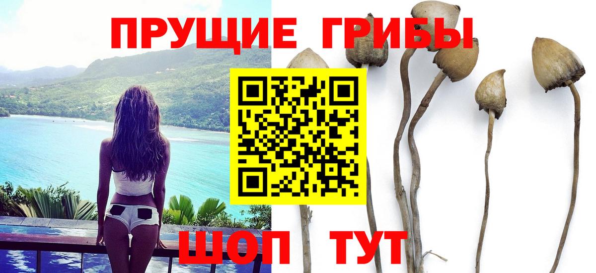 Люберцы  Галлюциногенные грибы Cubensis  Вход с VPN  где купить   Псилоцибиновые грибы прущие грибы 